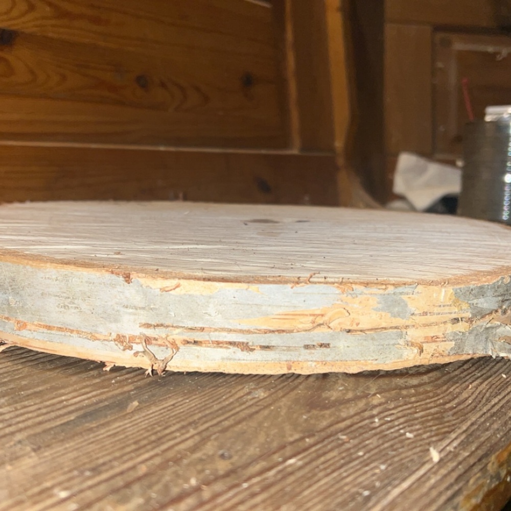 White britch bark rounds